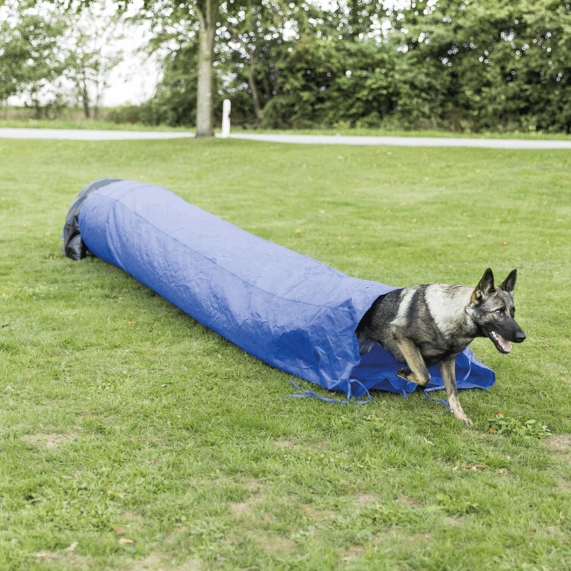 Trixie Dog Activity Agility Sacktunnel ø 60cm / 5 m, blau