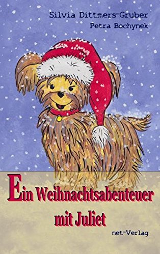 Ein Weihnachtsabenteuer mit Julia [Silvia Dittmers-Gruber]