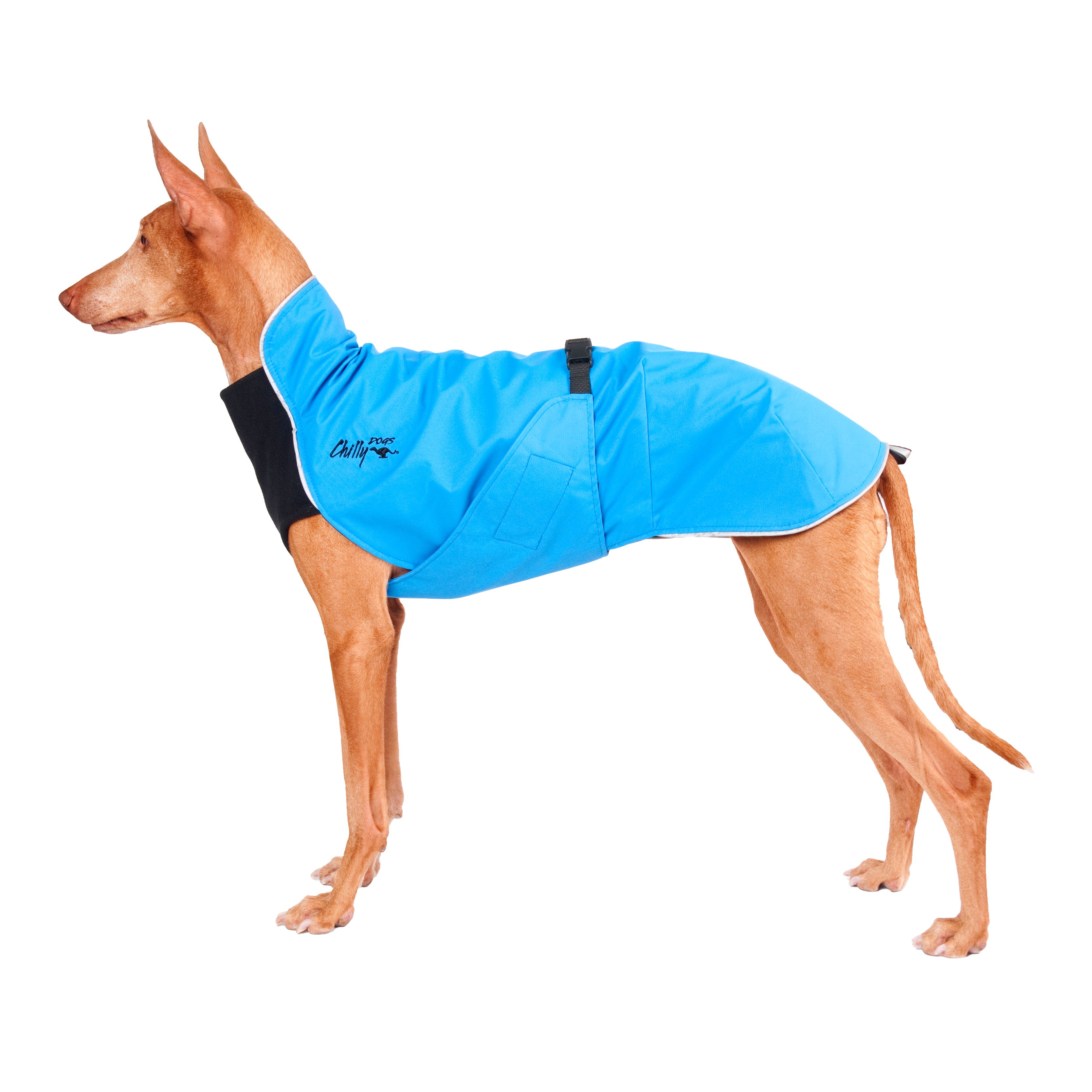 Chilly Dogs Harbour Slicker STANDARD