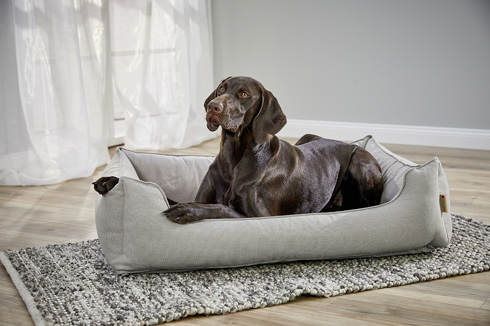 Wolters Dog Lounge Noble Stripes