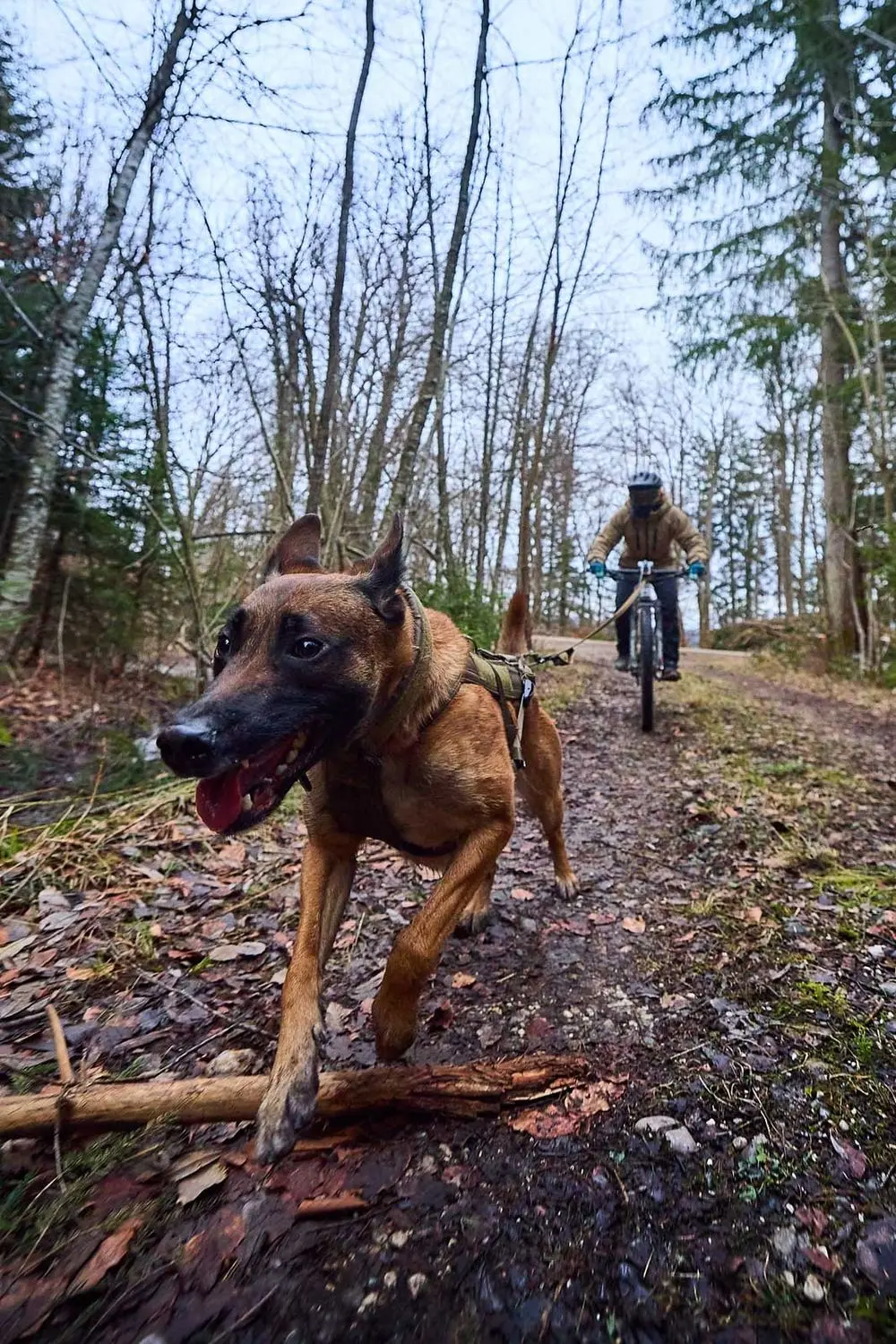 Non-stop dogwear Freemotion Harness WD olive