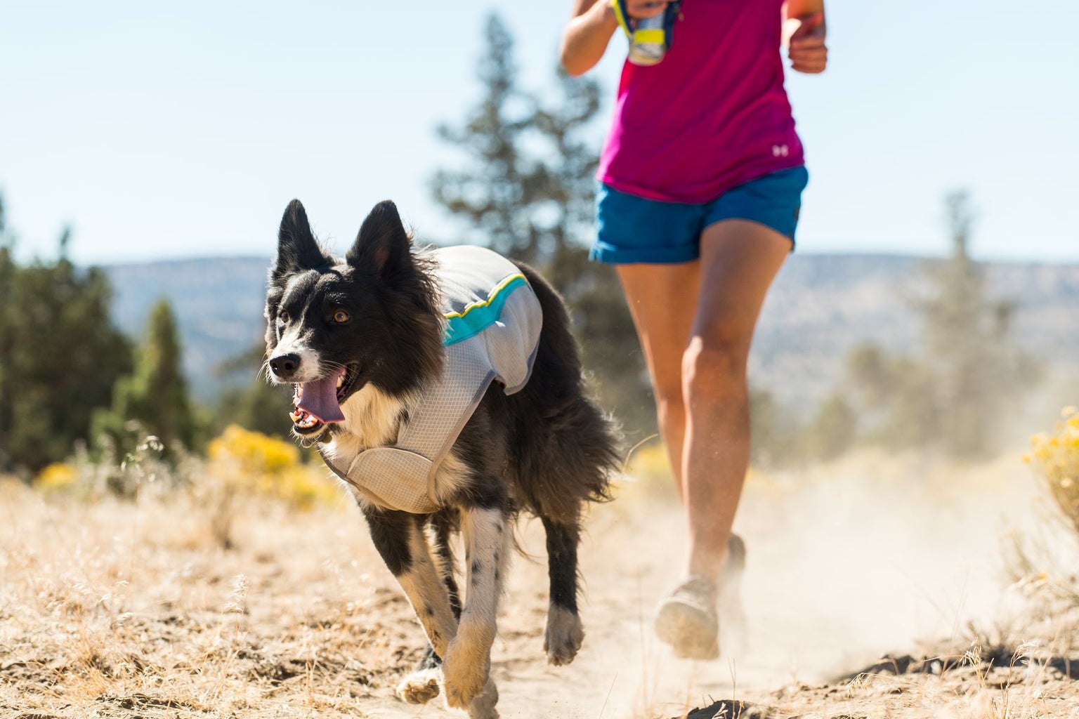 Ruffwear Swamp Cooler Cooling Vest Graphite Gray Ruffwear Swamp Cooler Cooling Vest Graphite Gray