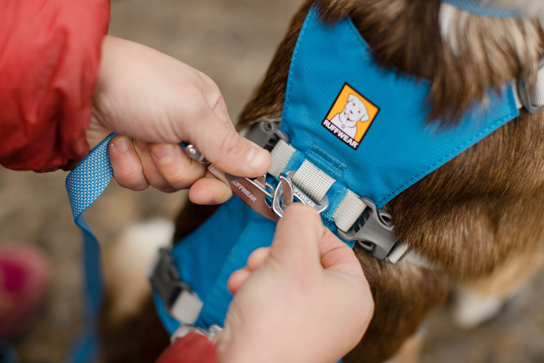 RuffWear Flagline™ Harness Blue Dusk