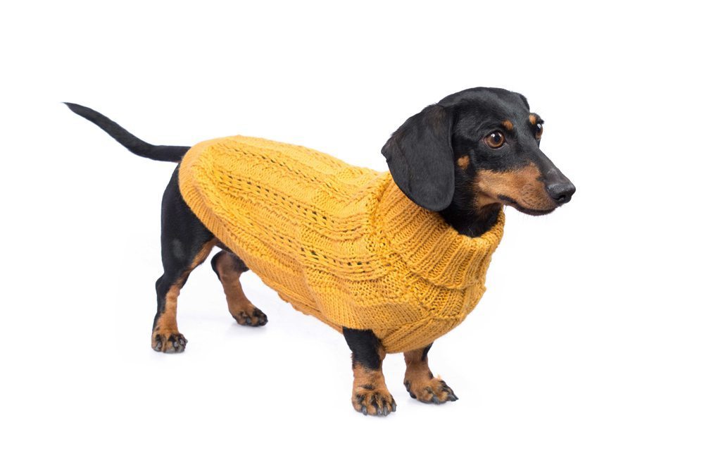 Alqo Wasi Hunde-Pullover Bohemian Cable Knit - Mustard