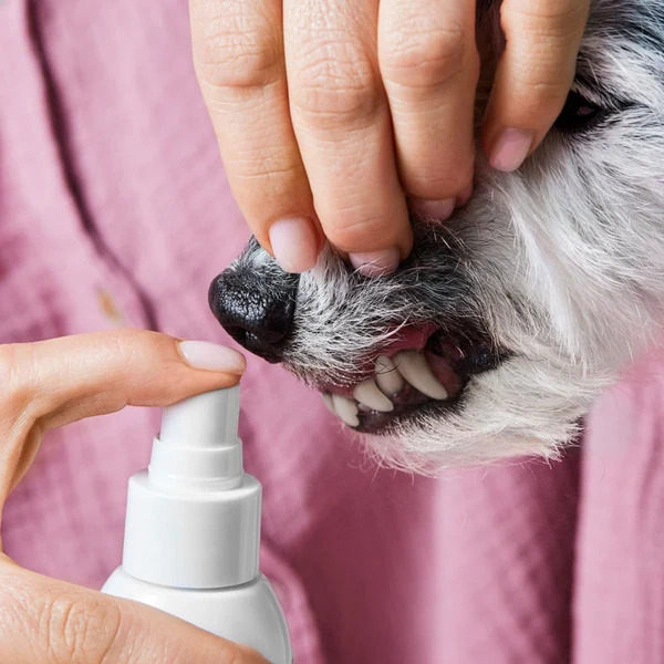 Tierliebhaber Dentalspray für Hunde mit Minze 50ml