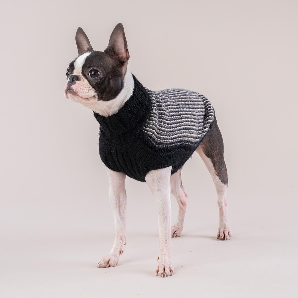 Alqo Wasi Hunde-Pullover Popcorn Black