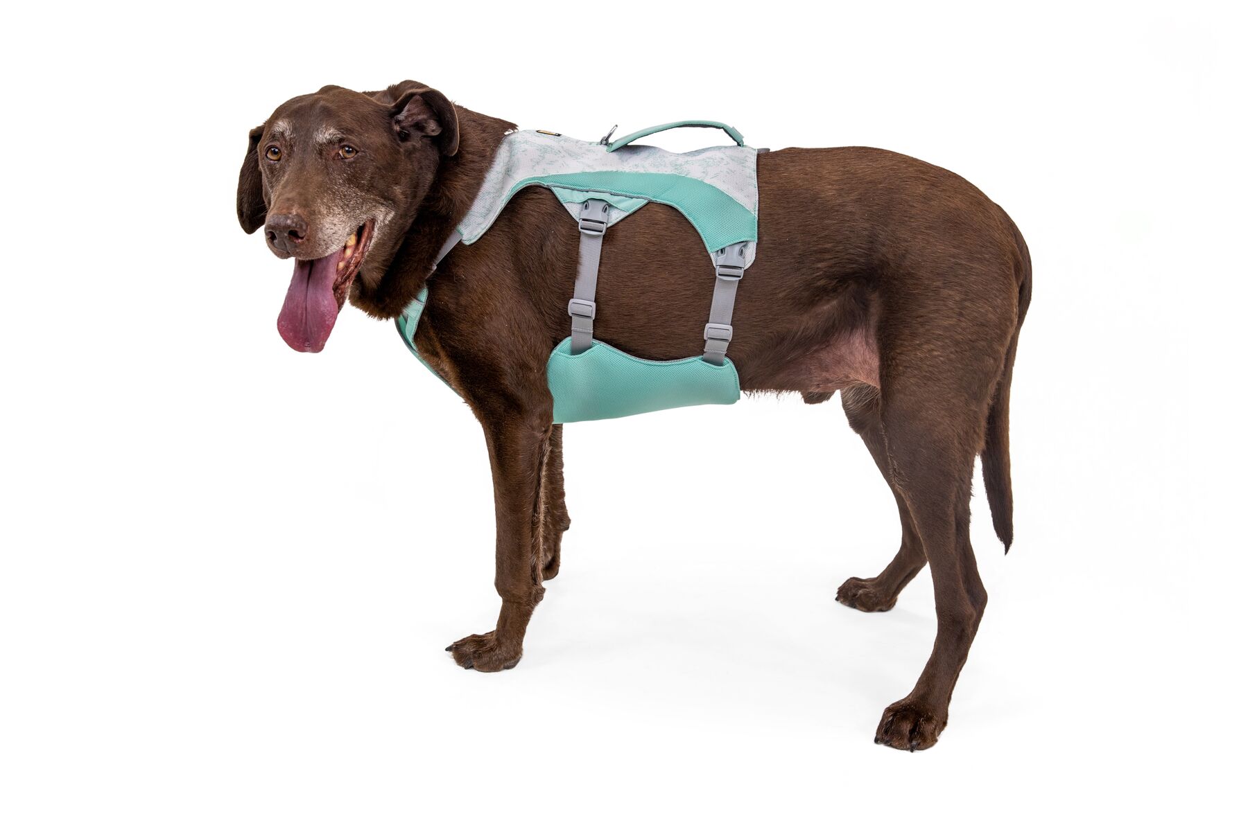 RuffWear Swamp Cooler™ Harness Sage Green