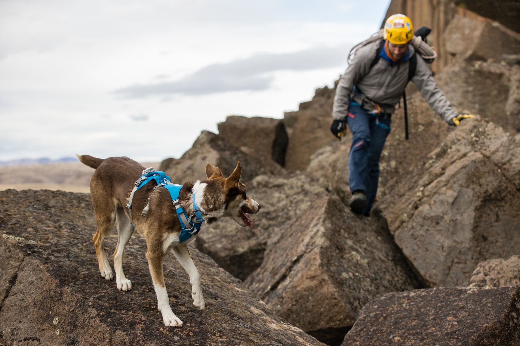 Ruffwear Hi & Light™ Collar