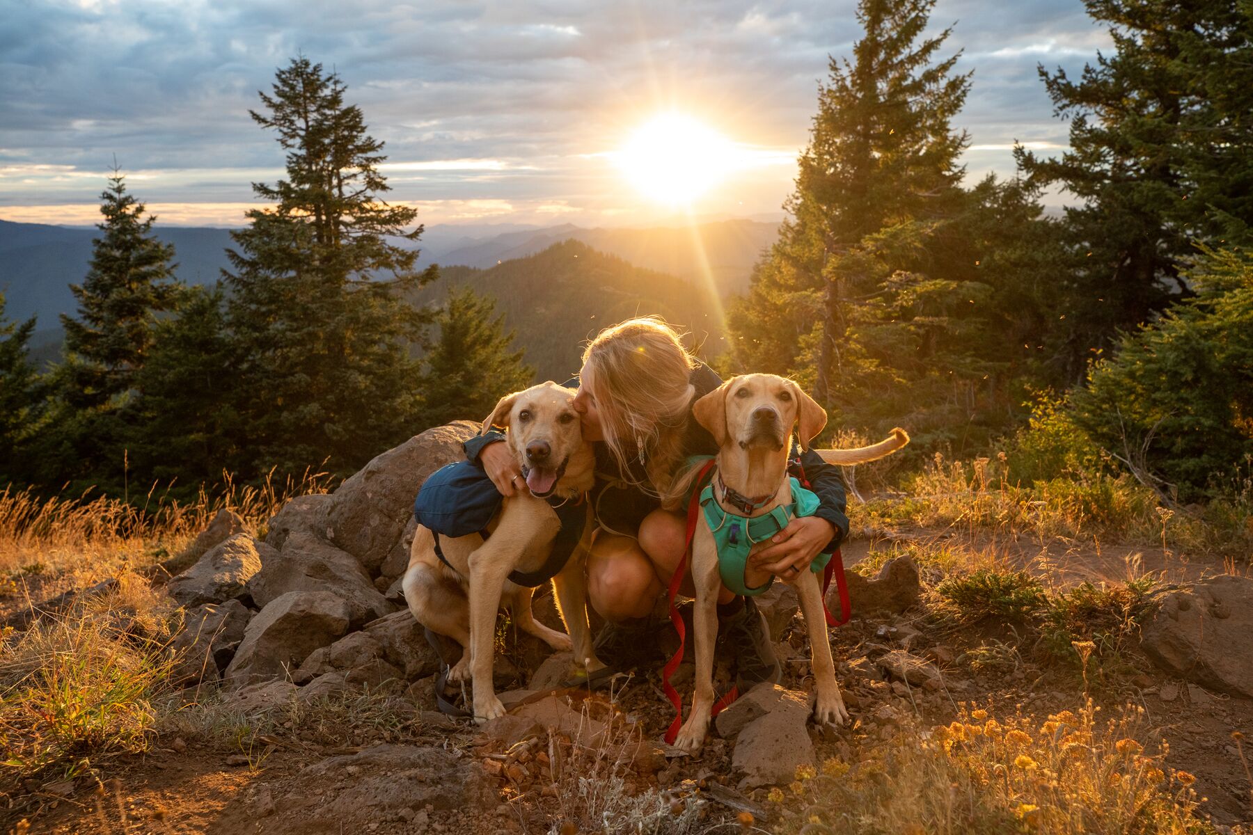 RuffWear Front Range™ Day Pack Blue Moon