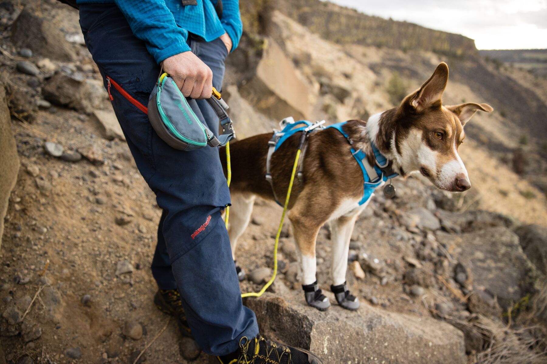 RuffWear Hitch Hiker™ Leash RuffWear Hitch Hiker™ Leash