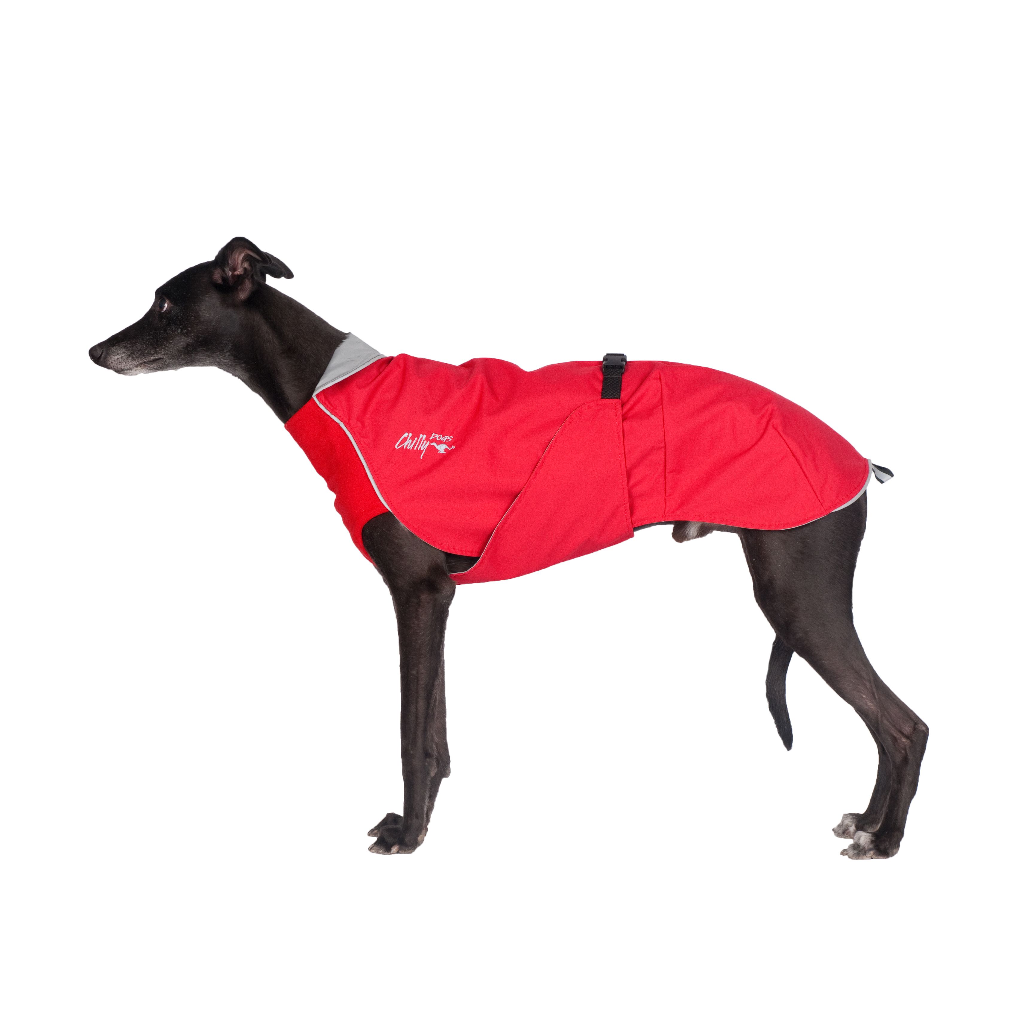 Chilly Dogs Harbour Slicker STANDARD