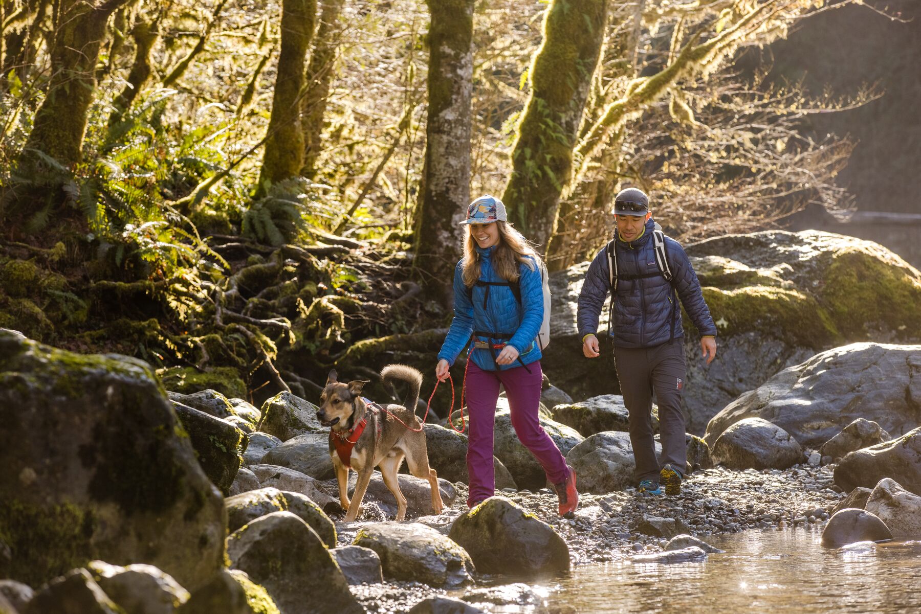 RuffWear Hitch Hiker™ Leash