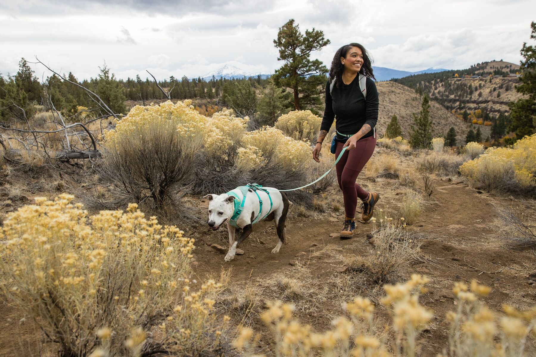 RuffWear Flagline™ Harness Sage Green