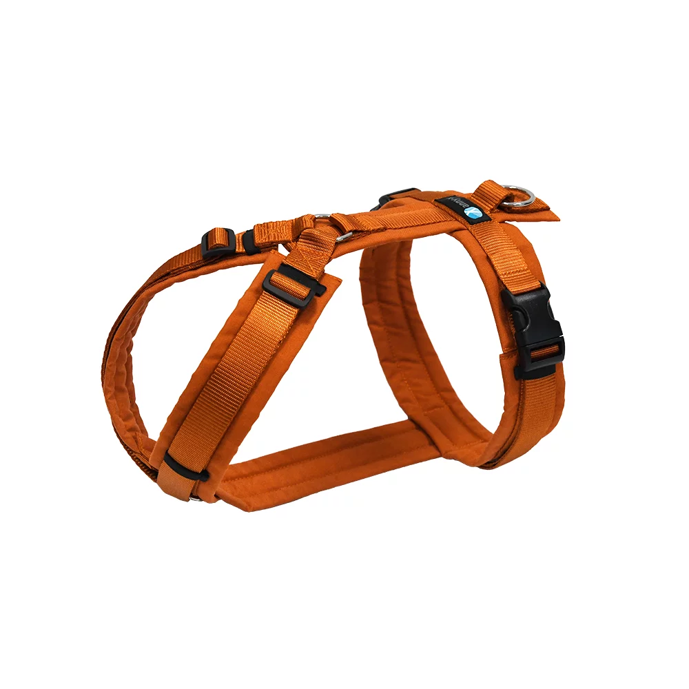 annyx Geschirr Fun Ahorn