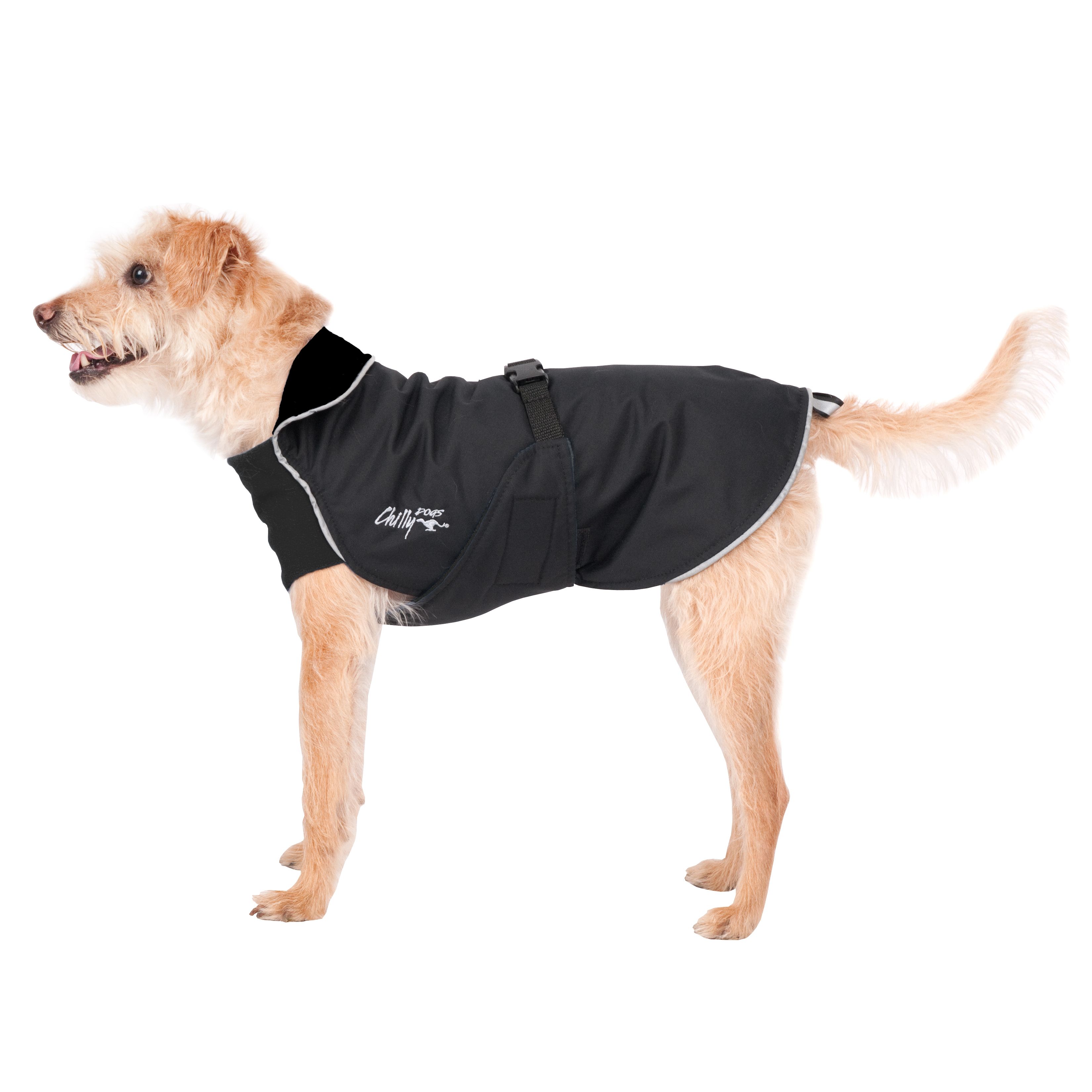 Chilly Dogs Harbour Slicker STANDARD