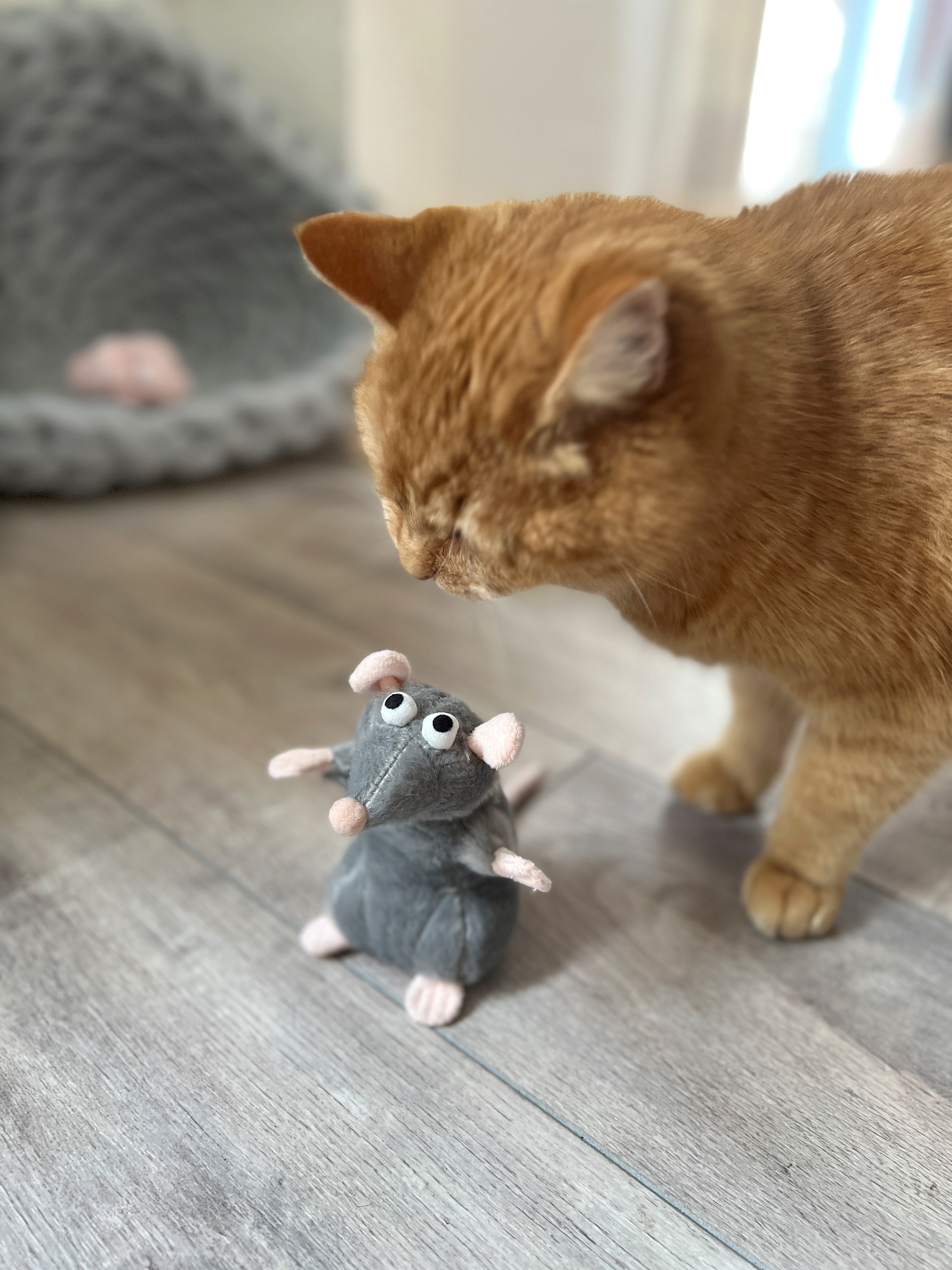 Aumüller Katzenspielzeug Ratte Cedric