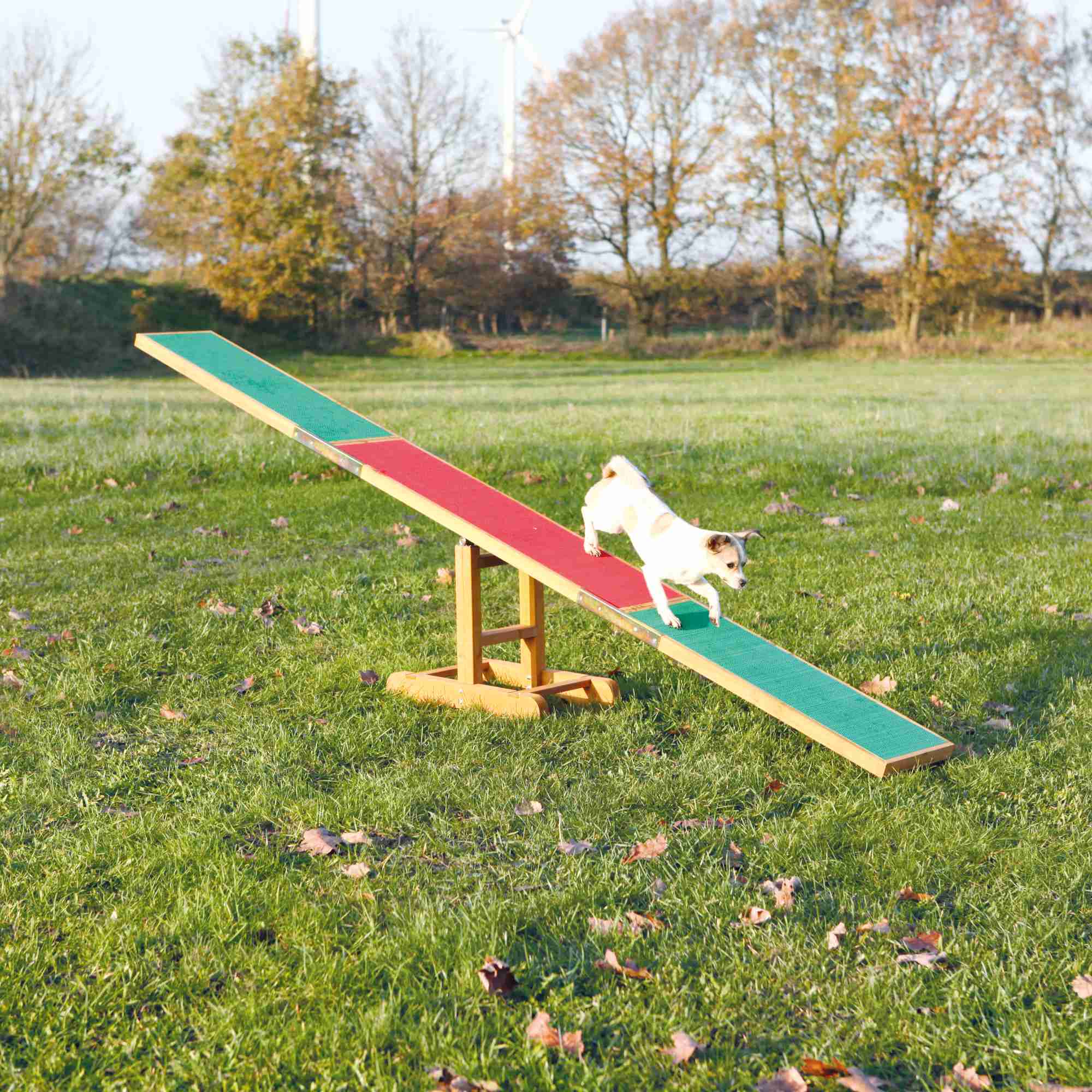 Trixie Dog Activity Agility Wippe 300 × 54 × 34cm