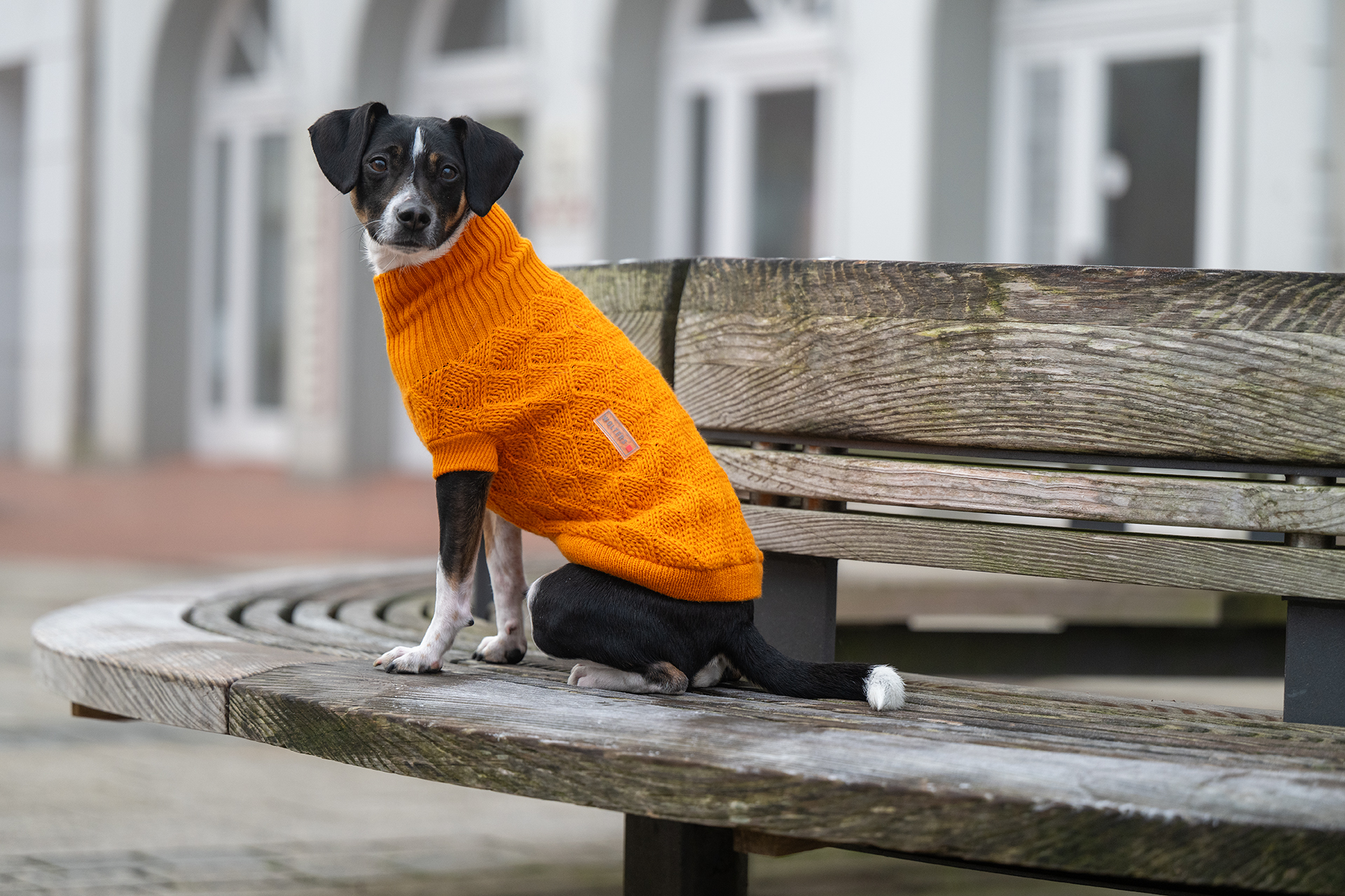 Wolters Strickpullover Diamond fancy orange