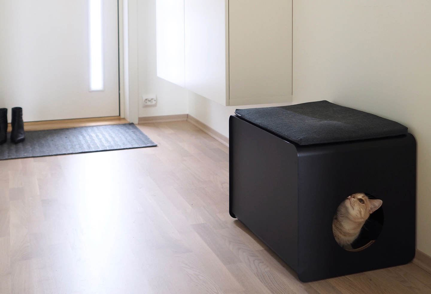 MiaCara Katzentoilette Gatto Sito