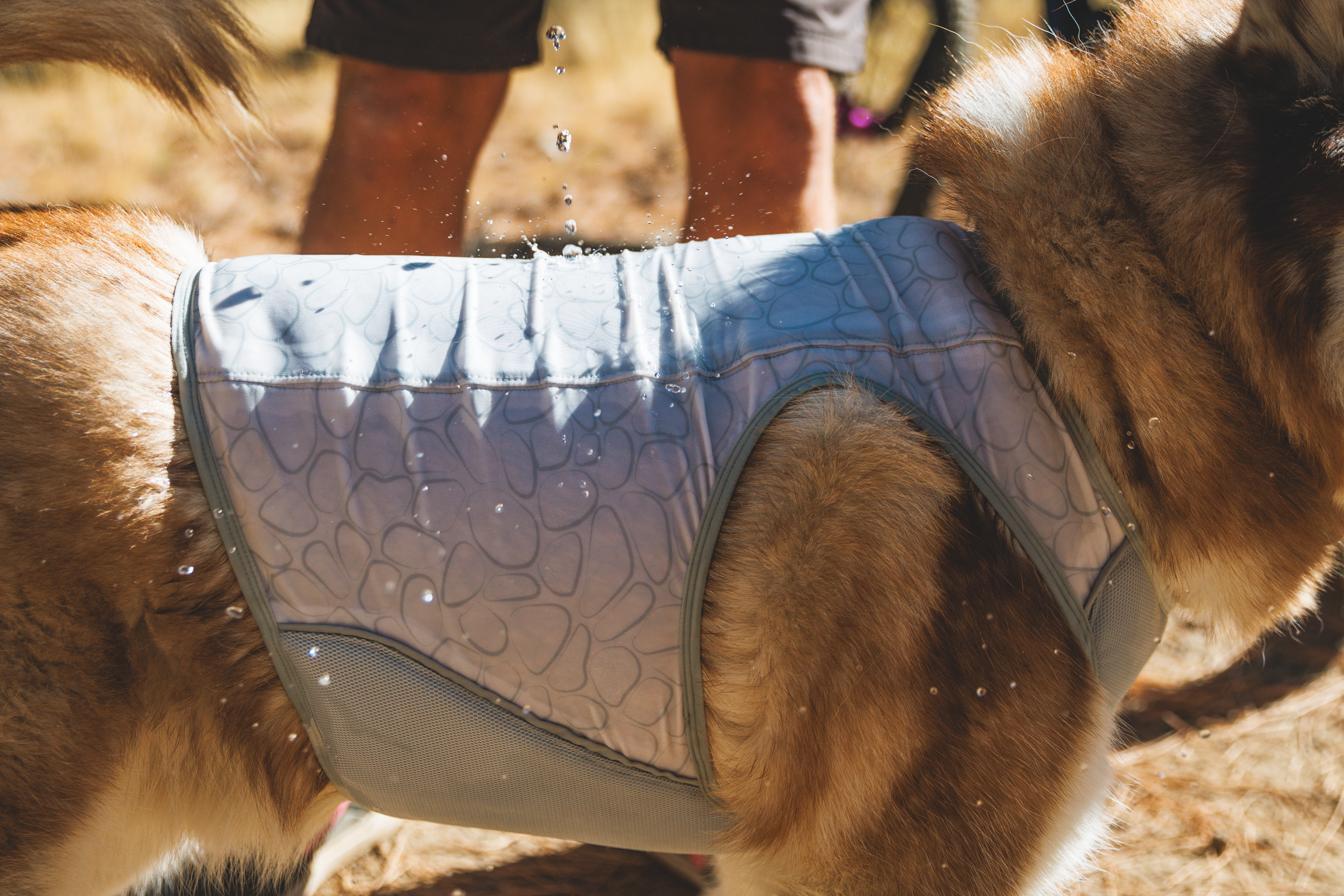 Ruffwear Swamp Cooler Zip™ Vest Graphite Gray