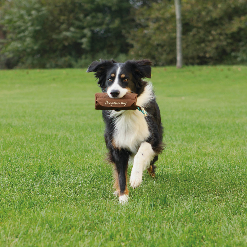 Trixie Dog Activity Preydummy