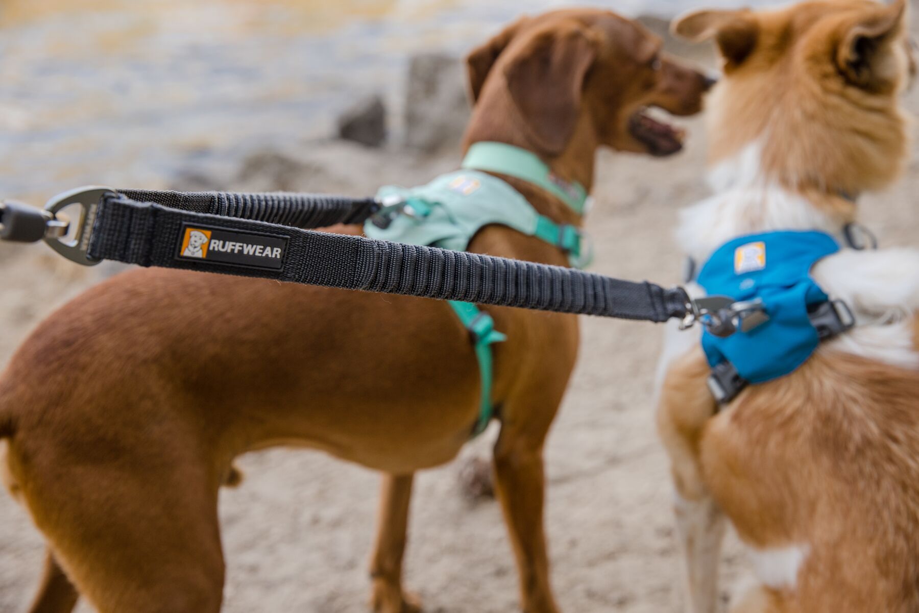 RuffWear Double Track™ Coupler Basalt Gray