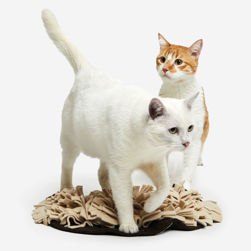 Knauder's Best Schnüffelrasen ® KATZE braun