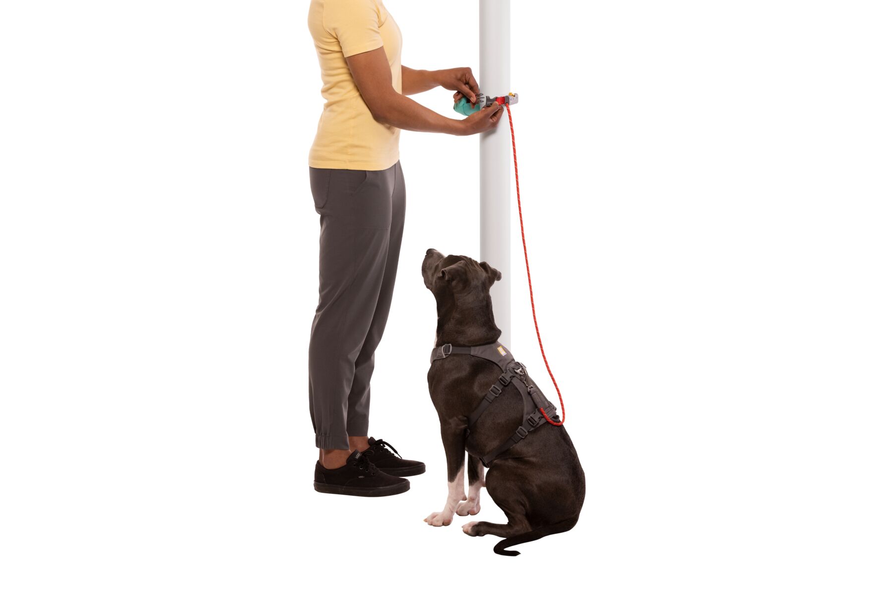 RuffWear Hitch Hiker™ Leash RuffWear Hitch Hiker™ Leash