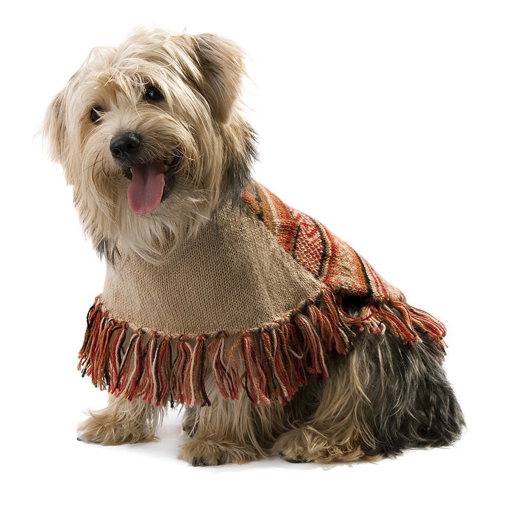 Alqo Wasi Hunde-Pullover Autumm Joy - M