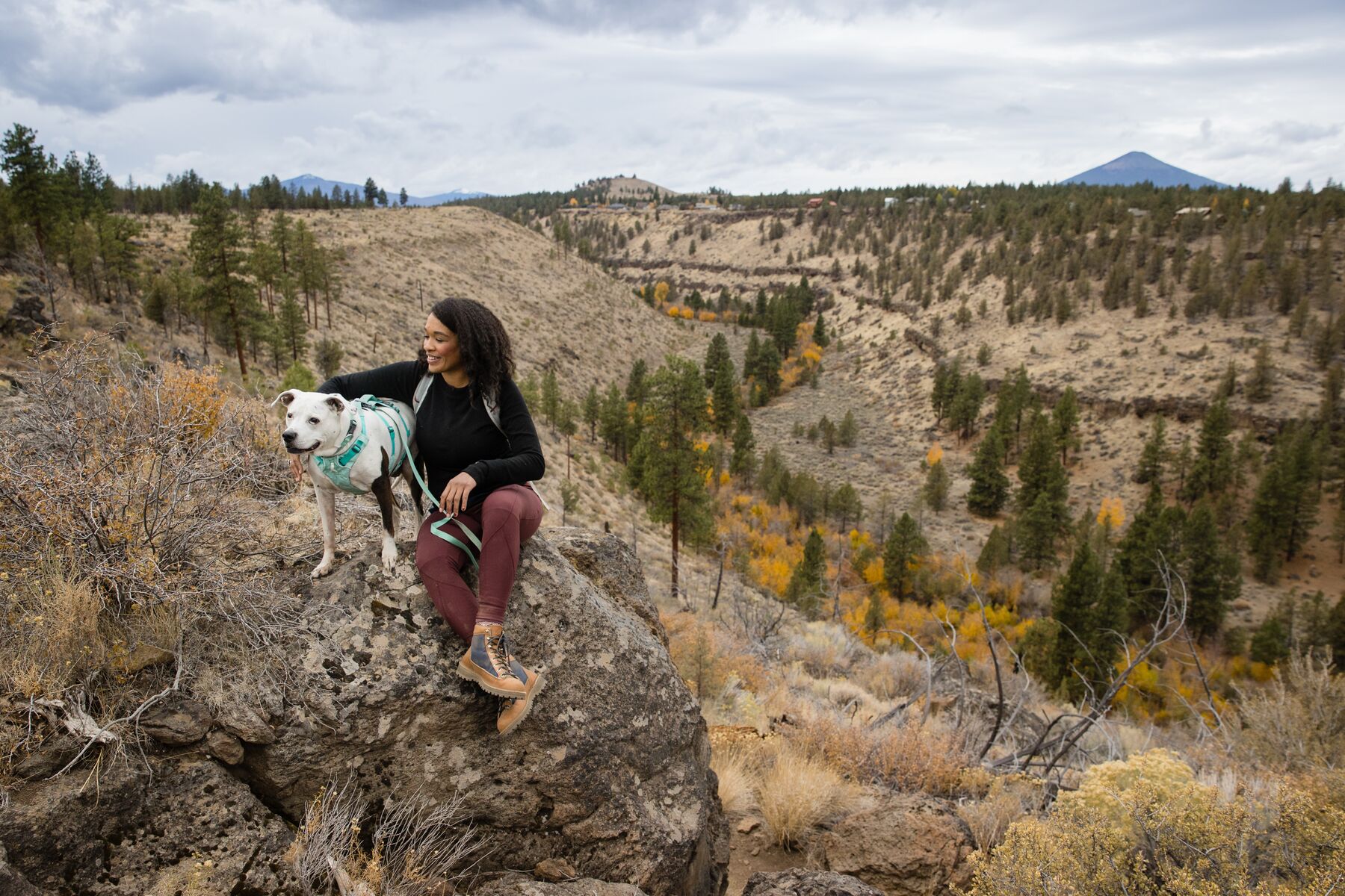 RuffWear Flagline™ Harness Sage Green