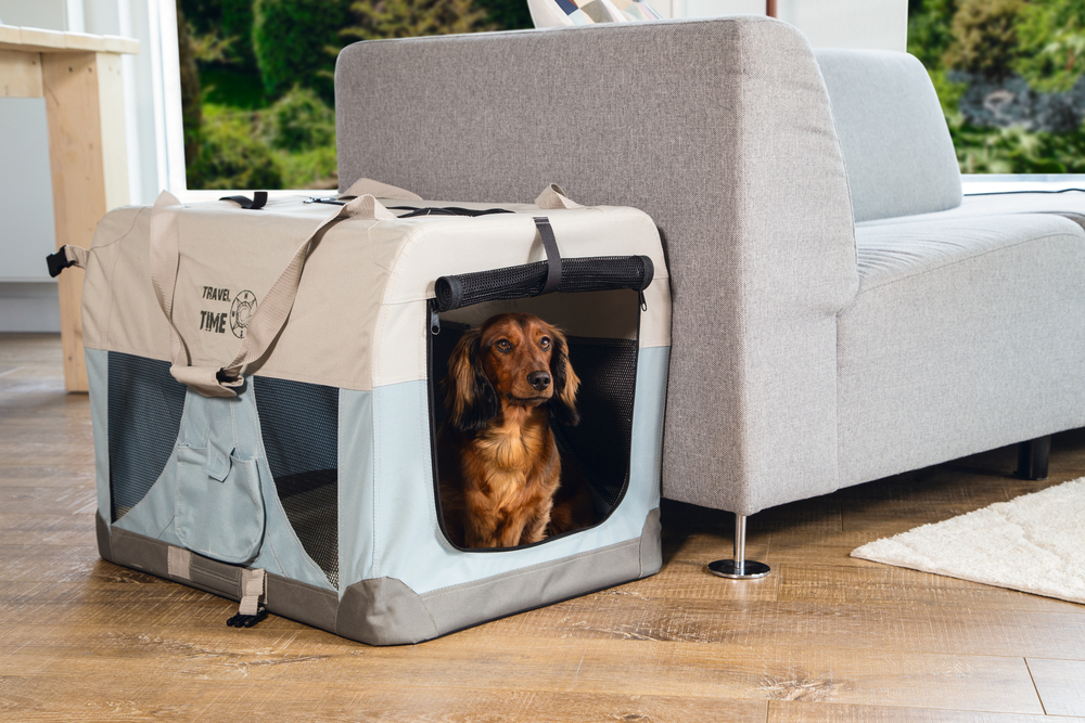 Beeztees Nylonbox Travel Time