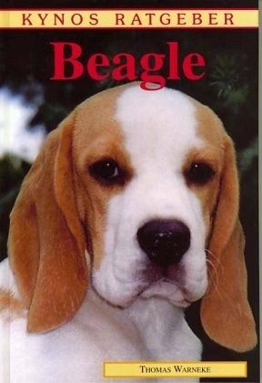Beagle [Thomas Warneke]