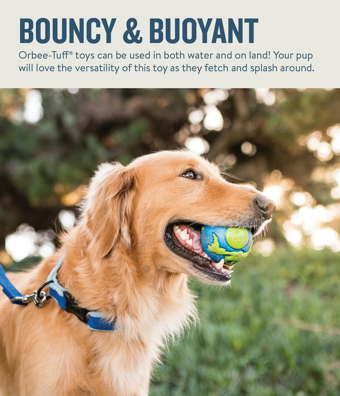 Planet Dog Orbee Ball blue/green