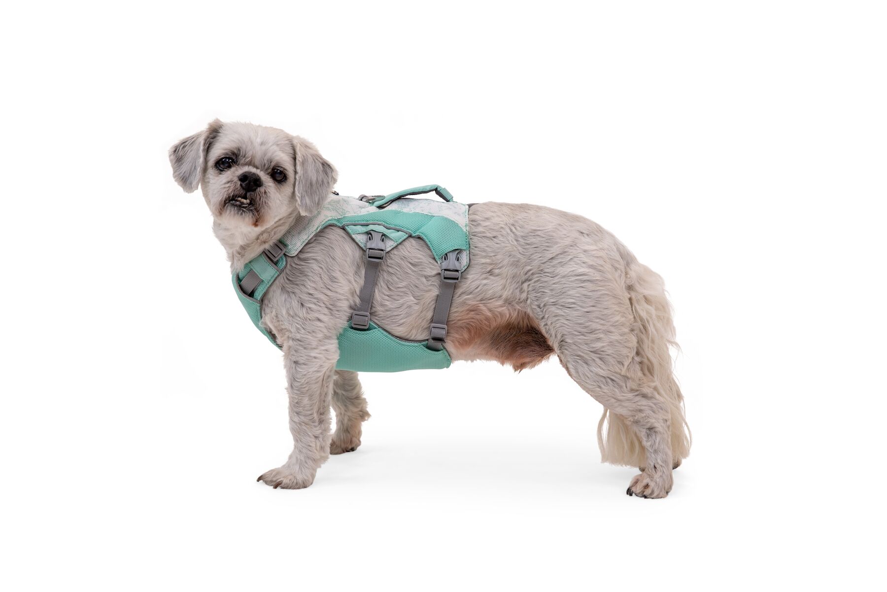 RuffWear Swamp Cooler™ Harness Sage Green