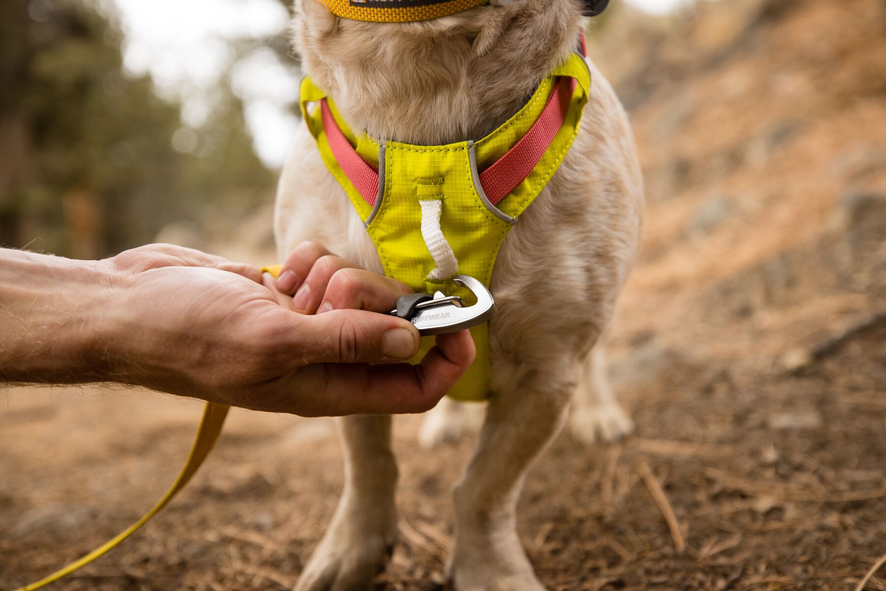 RuffWear Hi & Light™ Harness Lichen Green