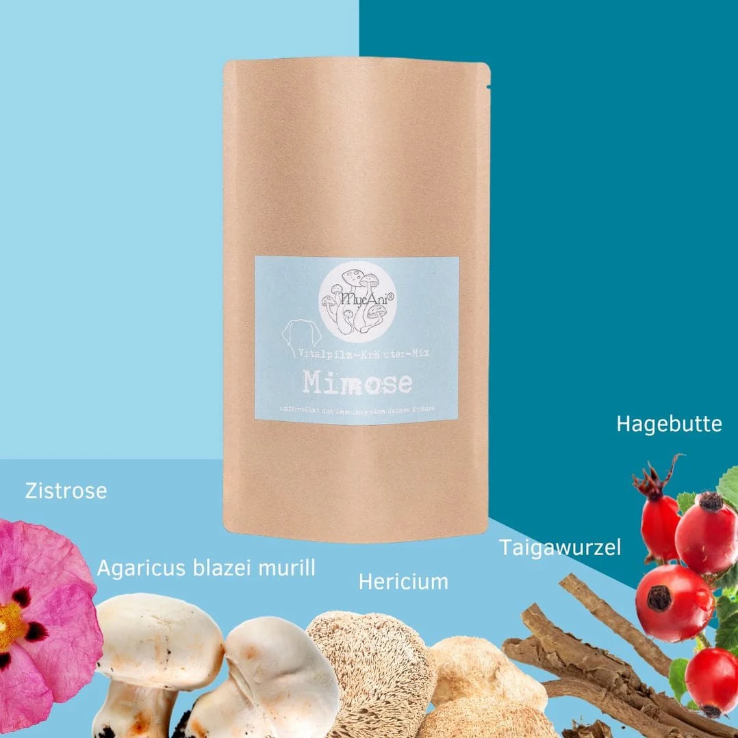 MycAni Vitalpilz-Kräutermix "Mimose" (Immunsystem) 200g
