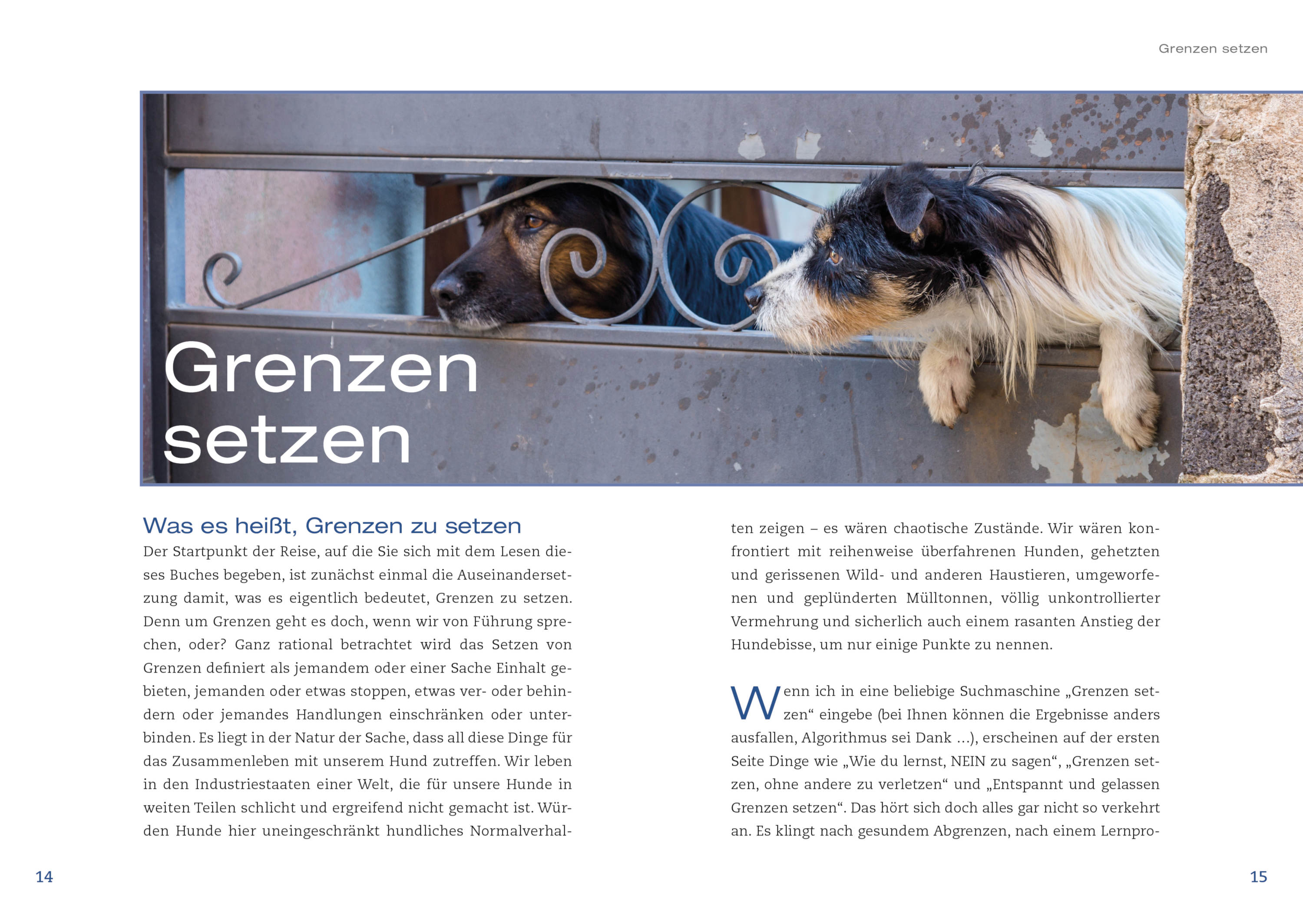 Animal Learn - Hunde achtsam führen [Maria Rehberger]