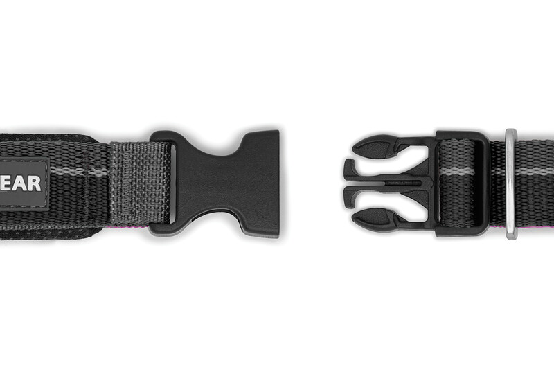 Ruffwear Roamer Leash