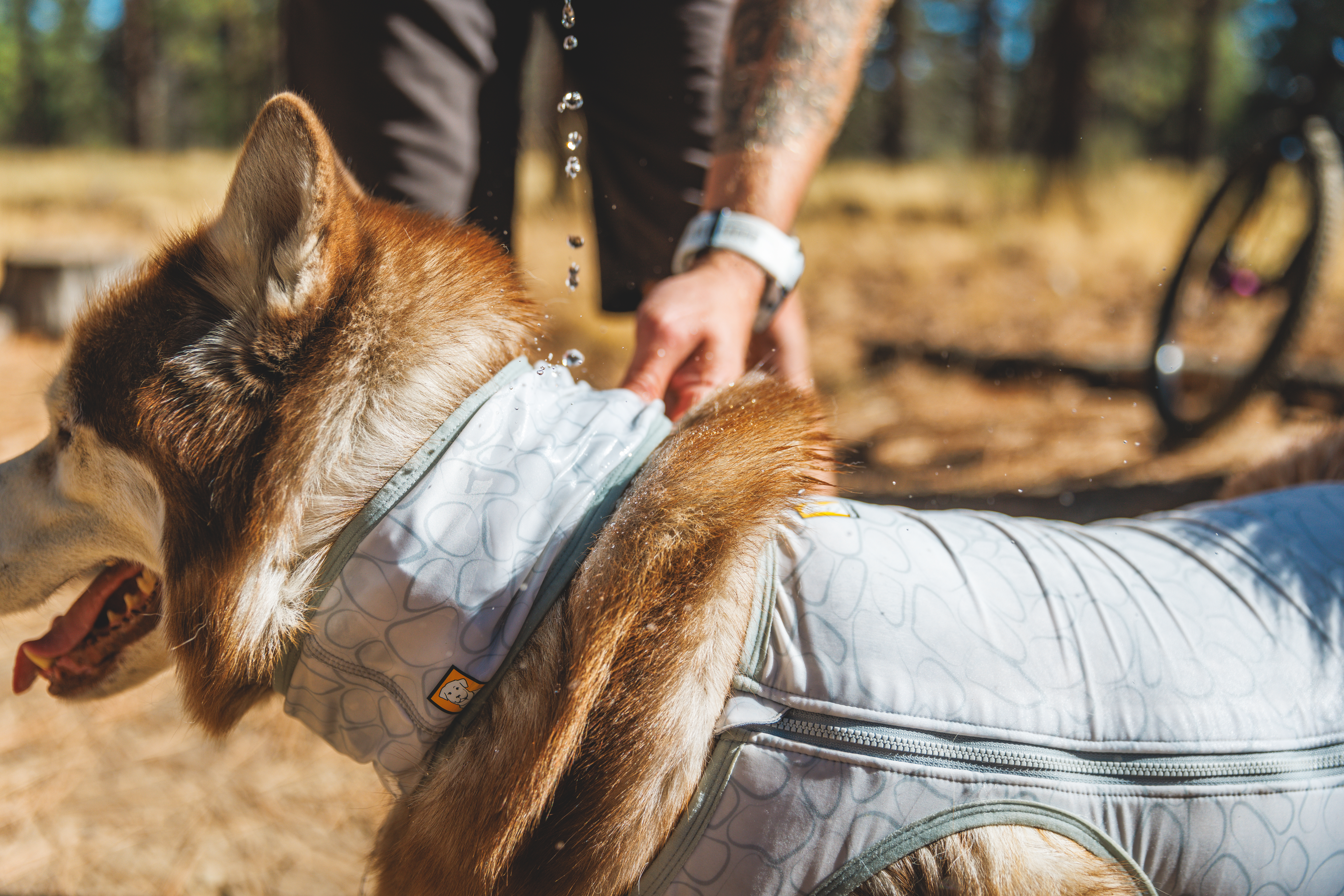 Ruffwear Swamp Cooler™ Neck Gaiter