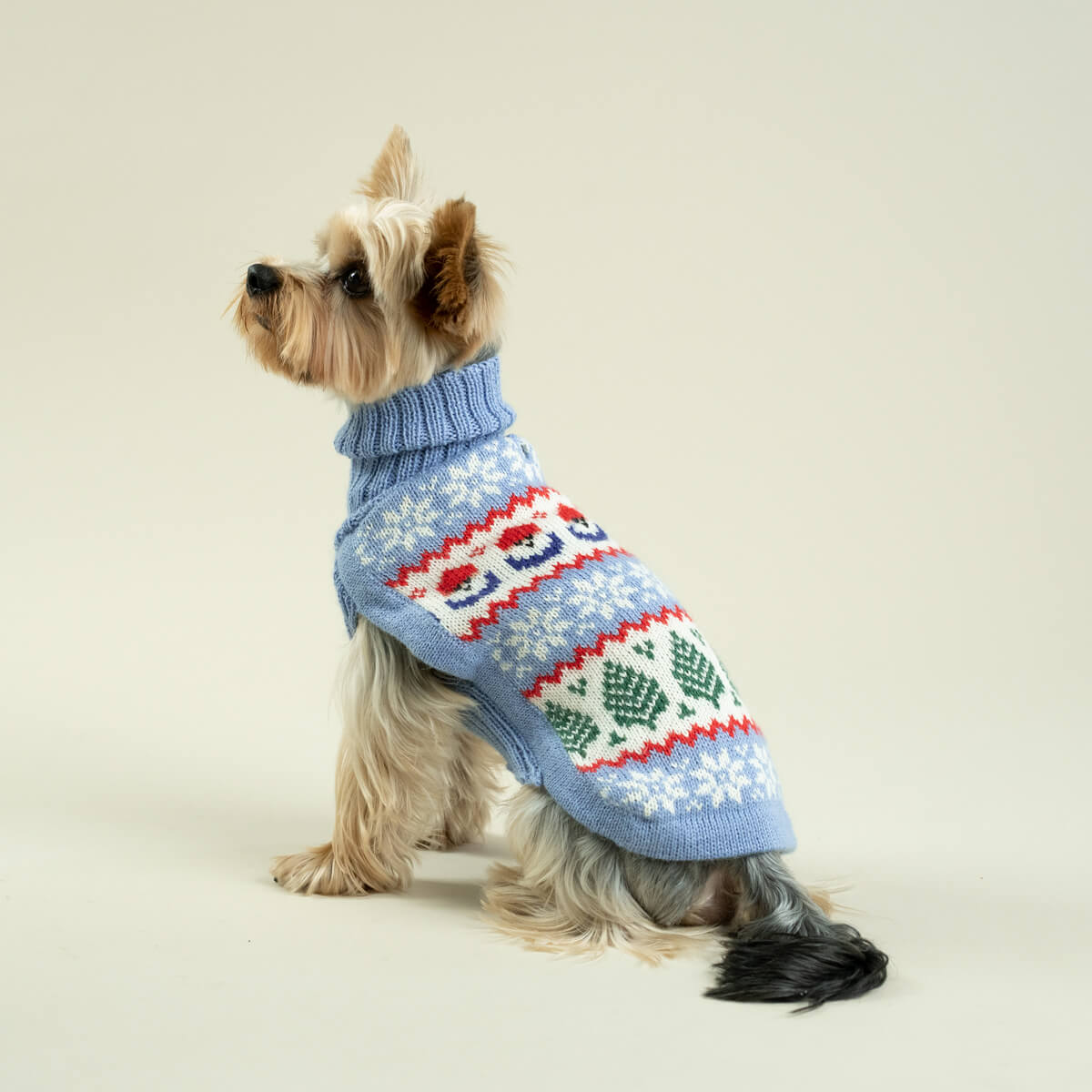 Alqo Wasi Hunde-Pullover Holiday Gnomes Light Blue