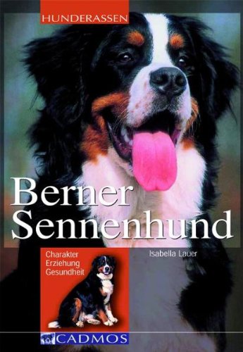 Berner Sennenhund [Isabella Lauer]