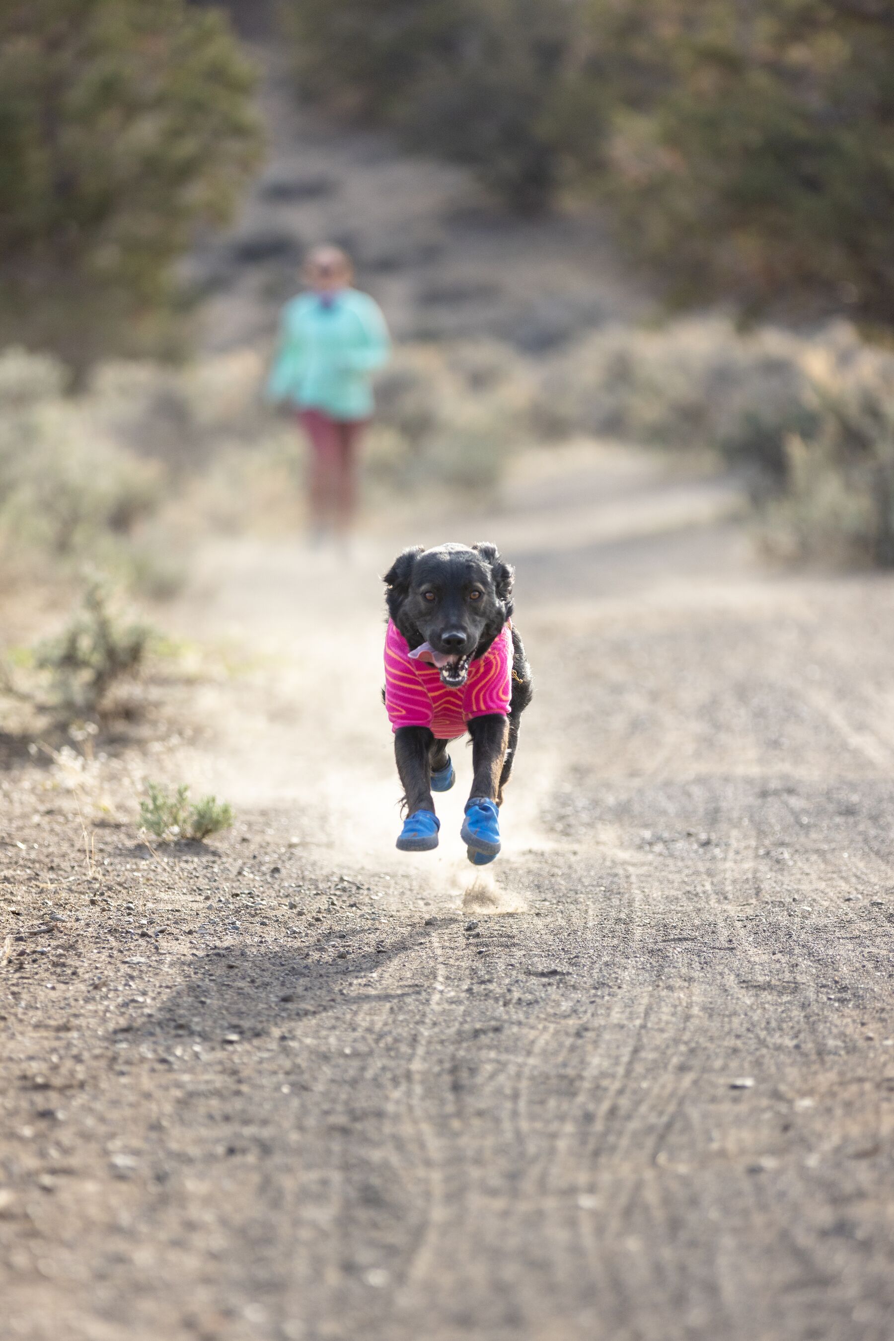 RuffWear Hi & Light™ Trail Shoes - set of 2 - Blue Pool