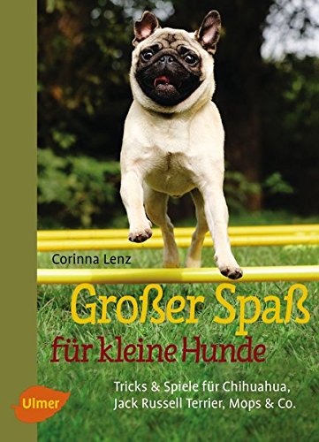 Ulmer - Großer Spaß für kleine Hunde. Tricks & Spiele für Chihuahua, Jack Russell Terrier, Mops & Co. [Corinna Lenz]