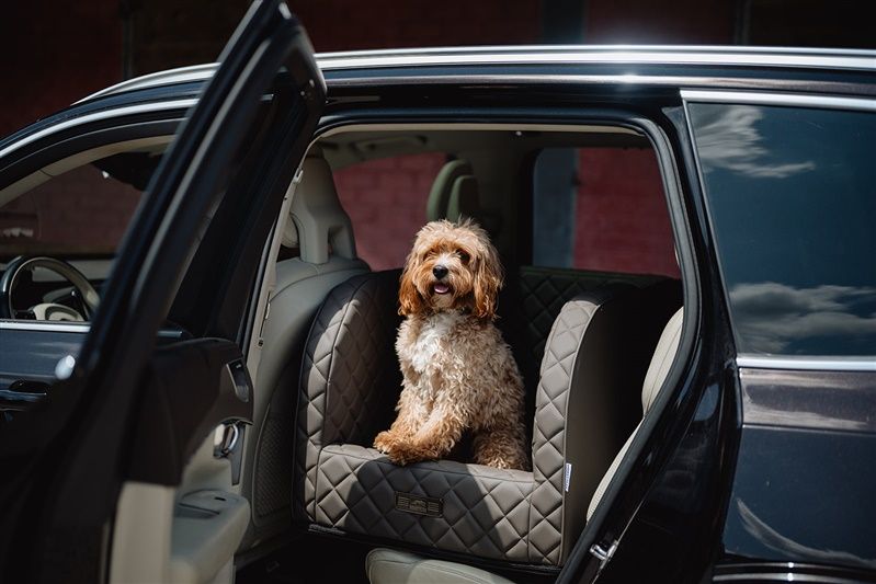 Dogstyler Autositz Excellent Italian grau
