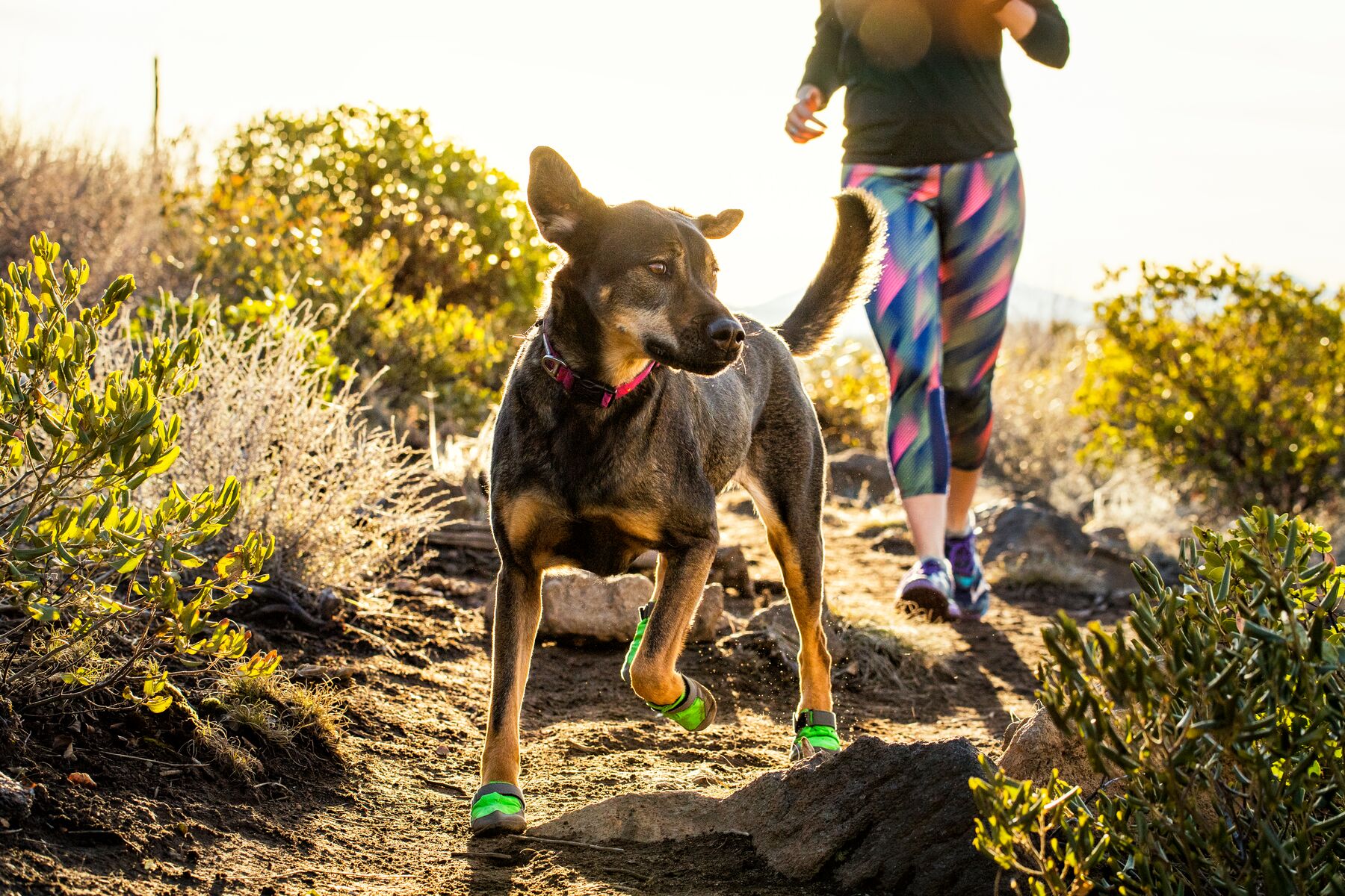 Ruffwear Summit Trex - box of 2 - Pairs Meadow Green