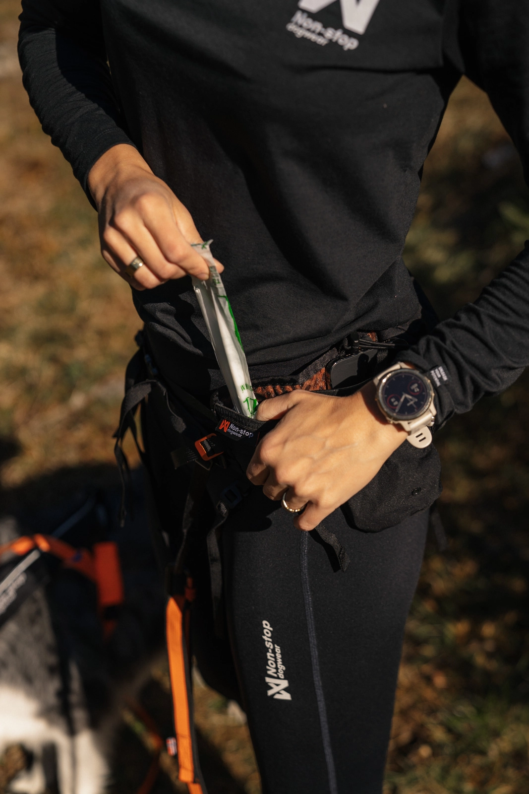 Non-stop dogwear Trail Light Belt