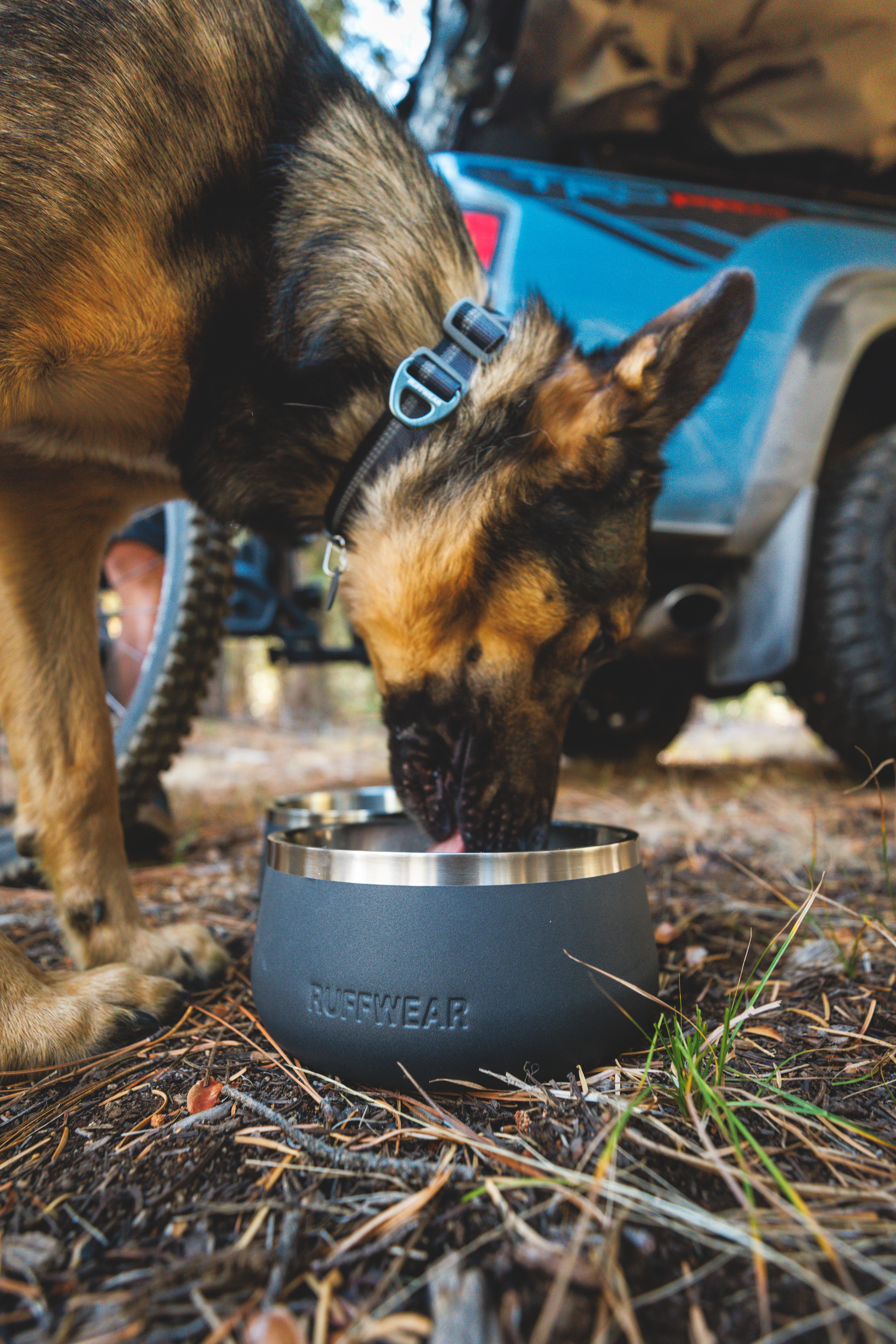 Ruffwear Basecamp™ Bowl