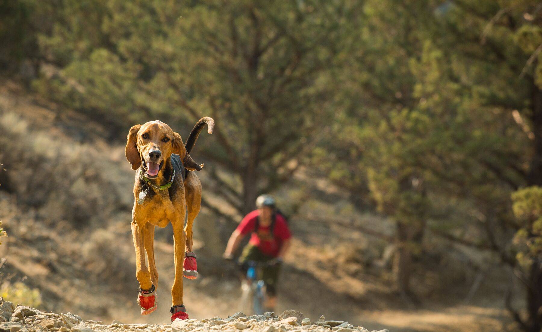 Ruffwear Grip Trex - set of 2 - Red Currant