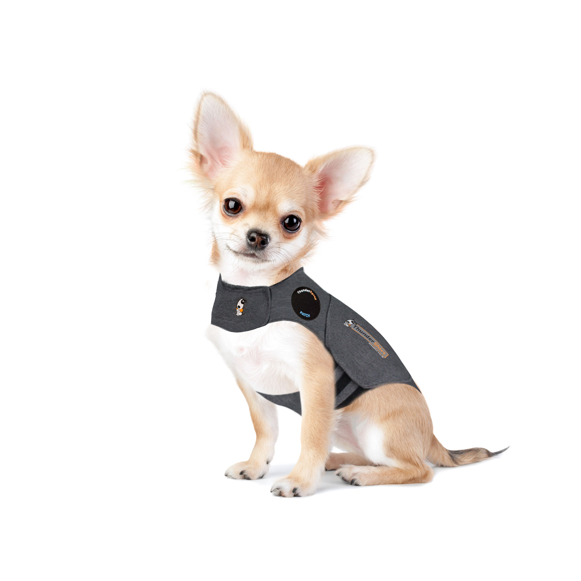 Thundershirt (für Hunde)