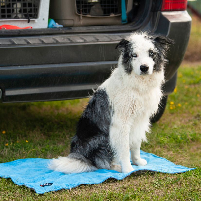 Chilly Dogs Reversible Soaker Mat